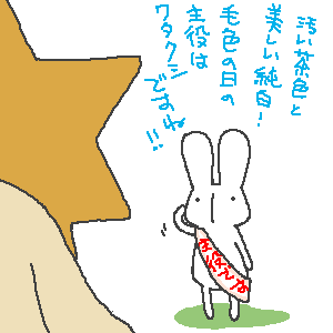 毛色の日