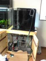 d50fc139.JPG