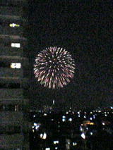 江戸川花火2