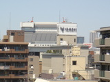 江戸