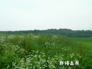那須高原