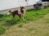 DSC02330