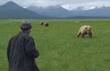 c62b8b7e.gif