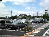 c8626841.jpg