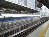 c942638d.jpg
