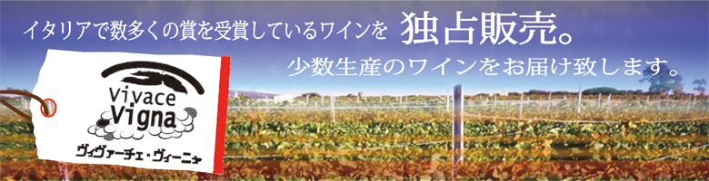 �����ꥢ�磻���֥磻����磻�󡡥Х�����������