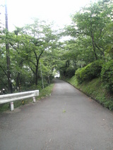 桜坂