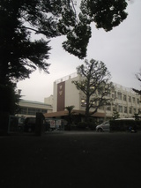 橋高