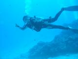 海中で泳ぐ植山さん