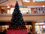 20051112-�ӥӥåȥ������������ꥹ�ޥ�-1609-DSC06695