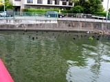 20050502-船橋市宮本3・満潮の水位-1117-DSC00007