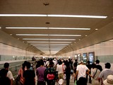 20050807-�滳���Ͼ졦�ֲ����-2008-DSC01282