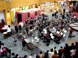 20051225-�ӥӥåȥ��������������Ω��澮�ع�-1357-DSC02056