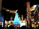 20051103-���ݡ��ȡ��ϥåԡ��ĥ꡼��������-1931-DSC04803