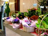 20050507-��������Į1����������1F���ե�����å�-1710-DSC09441