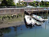 20050424-船橋市宮本3・浜町2・舟だまり・引き潮-1141-DSC09443.JPG