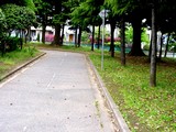 20050501-Á¥¶¶»ÔÅìÁ¥¶¶3¡¦µÜËÜÂæË̸ø±à-1040-DSC09800