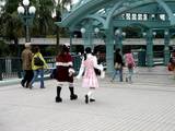 20051030-�ϥ�����������ǥ����ˡ��꥾����-1022-DSC04025
