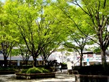 20050414-���»�����1��JR������JR�����±����-0958-DSC08563