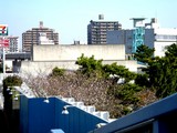20051116-�������Ͼ졦�����-0841-DSC07124