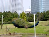 20050416-���ջ����Ͷ����͡���ĥ���͸���-1153-DSC08980
