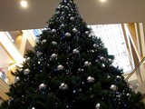 20051112-�ӥӥåȥ������������ꥹ�ޥ�-1437-DSC06657