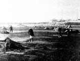 習志野市谷津3・京成谷津遊園・伊藤新田(津田沼塩田)-20050423-DSC08934