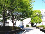 20050414-���»�����1��JR������JR�����±����-0958-DSC08564