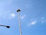 20051123-�ѿ̶��ٵ������ꡦTV��ࡦTBS-1321-DSC08389