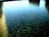 20051214-��������Į����ɹ-DSC00651