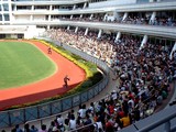 20050919-JRA�滳�����С���ˡ����ޥ���󥸥㡼-1206-DSCF2377