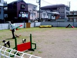 20050521-船橋市栄町1・DogStationDs-1238-DSC01611