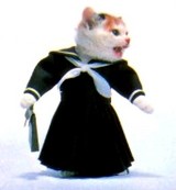 なめ猫・女子学生