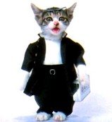 なめ猫・男子学生