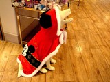 20051223-�ӥӥåȥ���������PET_PARADISE-1545-DSC01750
