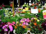 20050518-����Թ����Ĭ��2���ۡ��ॻ�󥿡������ʥ�Ĭ��Ź-2029-DSC00115