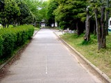 20050501-Á¥¶¶»ÔÅìÁ¥¶¶3¡¦µÜËÜÂæË̸ø±à-1041-DSC09801