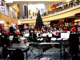 20051225-�ӥӥåȥ��������������Ω��澮�ع�-1408-DSC02074