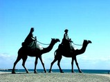 Ƹ�ء���κ�����ȯ�ͤ���