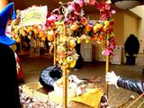 20051030-���»����͡��������ԥ��ꡦ�ϥ�������-1117-DSC04123