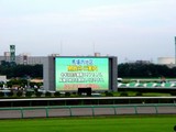 20050807-�滳���Ͼ졦�ֲ����-1750-DSC04205
