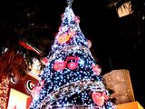 20061116-���ݡ��ȡ����祯�ꥹ�ޥ��ĥ꡼-2135-DSC01327