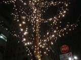20071228-����ԡ��ݤ��⡦����ߥ͡������-1818-DSC01930