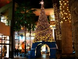 20071225-�����ԡ����ݡ��ȡ�ChristMax-DSC01277