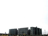 20080620-�����ԡ������ɥۥ饤����ȡ����硼�٥�-0756-DSC07885