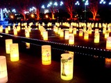 20081219-����ԡ���������饤�ȥԥ�-2051-DSC04273