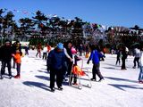 20050206-�����ԲƸ���6����̱�������ȥ��-1135-DSC07804