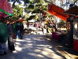 20081231-�����Ե��ܡ���������ܡ��糢��-1135-DSC07594