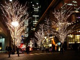 20081219-����ԡ���������饤�ȥԥ�-2112-DSC04326