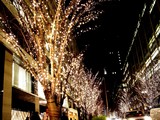 20081219-����ԡ���������饤�ȥԥ�-2032-DSC04229